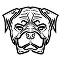 Black and white line art of rottweiler dog head. Royalty Free Stock Photo