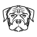 Black and white line art of rottweiler dog head. Royalty Free Stock Photo