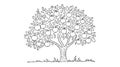 Black-and-white line drawing, apple tree, thick gnarled trunk, spreading branches Royalty Free Stock Photo