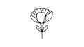 A black and white line drawing of a flower, featuring a single bloom with multiple Royalty Free Stock Photo