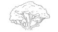 Black-and-white line drawing, mature gnarled tree, dense foliage, simple Royalty Free Stock Photo