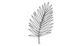 Black and white line drawing of a palm leaf on a white background Royalty Free Stock Photo