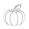 A black and white line drawing of a pumpkin featuring distinct, curving lines that defin Royalty Free Stock Photo