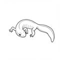 Black and white line drawing of a salamander on a plain background. The salamander Royalty Free Stock Photo