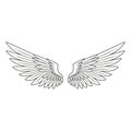 Black and white line drawing of spread wings with detailed feathers for artistic and design projects Royalty Free Stock Photo