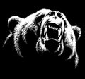 Black and white linear draw bear illustration