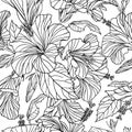 Vector seamless pattern of Black and white Hibiscus flowers Royalty Free Stock Photo
