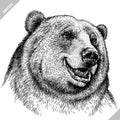 Black and white linear paint draw bear vector illustration