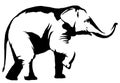 Black And White Linear Paint Draw Elephant Illustration