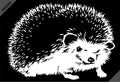 Black and white linear paint draw hedgehog vector illustration art Royalty Free Stock Photo