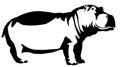 Black and white linear paint draw Hippo illustration Royalty Free Stock Photo