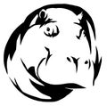 Black and white linear paint draw Hippo illustration