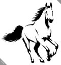 Black and white linear paint draw horse vector illustration Royalty Free Stock Photo