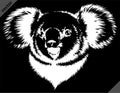 Black and white linear paint draw koala vector illustration art