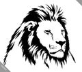 Black and white linear paint draw lion vector illustration Royalty Free Stock Photo