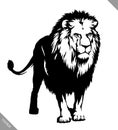 Black and white linear paint draw lion vector illustration Royalty Free Stock Photo