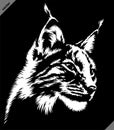 Black and white linear paint draw lynx illustration art