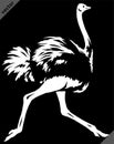 Black and white linear paint draw ostrich vector illustration art Royalty Free Stock Photo