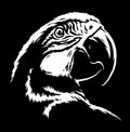 Black and white linear paint draw parrot illustration art