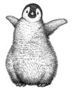 Black and white linear paint draw penguin illustration