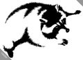 Black and white linear paint draw raccoon vector illustration Royalty Free Stock Photo