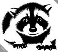 Black and white linear paint draw raccoon vector illustration Royalty Free Stock Photo