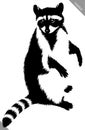 Black and white linear paint draw raccoon vector illustration Royalty Free Stock Photo