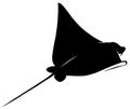 Black and white linear paint draw Stingray illustration Royalty Free Stock Photo
