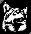 Black and white linear paint draw Wolf illustration art Royalty Free Stock Photo