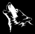 Black and white linear paint draw Wolf illustration art Royalty Free Stock Photo