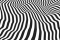 Black and white lines that makes a wavy rippled surface. Optical illusion striped background