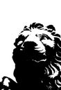 Black and white lion. Vector Royalty Free Stock Photo