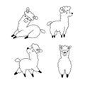 Black and white llama set Royalty Free Stock Photo