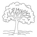 Black and white llustration of a tree. Page coloring