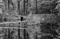 A black and white look at a fallen tree in the Cleveland Metroparks