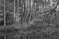 A black and white look at the famed Cleveland Metroparks