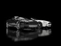 Black and white luxury sports cars