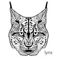 The black and white lynx print with ethnic patterns. Coloring book for adults antistress. Adult coloring