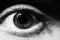 Black and white Male eye macro Royalty Free Stock Photo