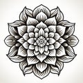 Black And White Flower Tattoo On White Background Royalty Free Stock Photo
