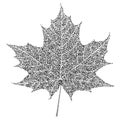 Black and white maple leaf