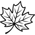 Black and White Maple Leaf Outline Design Royalty Free Stock Photo