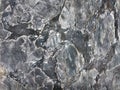 Black And White Marble Background With Gold Glitter. Water Color Alcohol Ink Splash, Liquid Flow Texture Paint. Vector