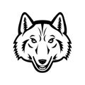 Head of Artic Wolf Front View Mascot Black and White Royalty Free Stock Photo