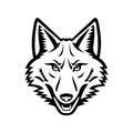 Head of a Coyote Front View Mascot Black and White