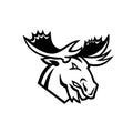 Angry Moose or Elk Looking to Side Mascot Black and White Royalty Free Stock Photo