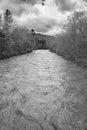 Black and White of Maury River at Floodstage Royalty Free Stock Photo