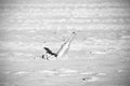 Black and white message in a bottle on sand, shallow depth of field Royalty Free Stock Photo