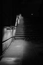 Black and white monochrome image of shadowed view of steps at night with pile of leaves