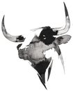 Black and white monochrome painting with water and ink draw bull illustration